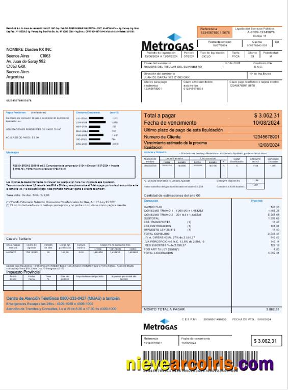 Argentina Metrogas easy to fill business utility bill